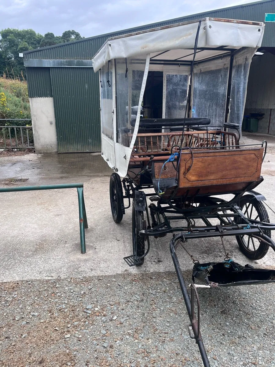 Horse carriage - Image 2