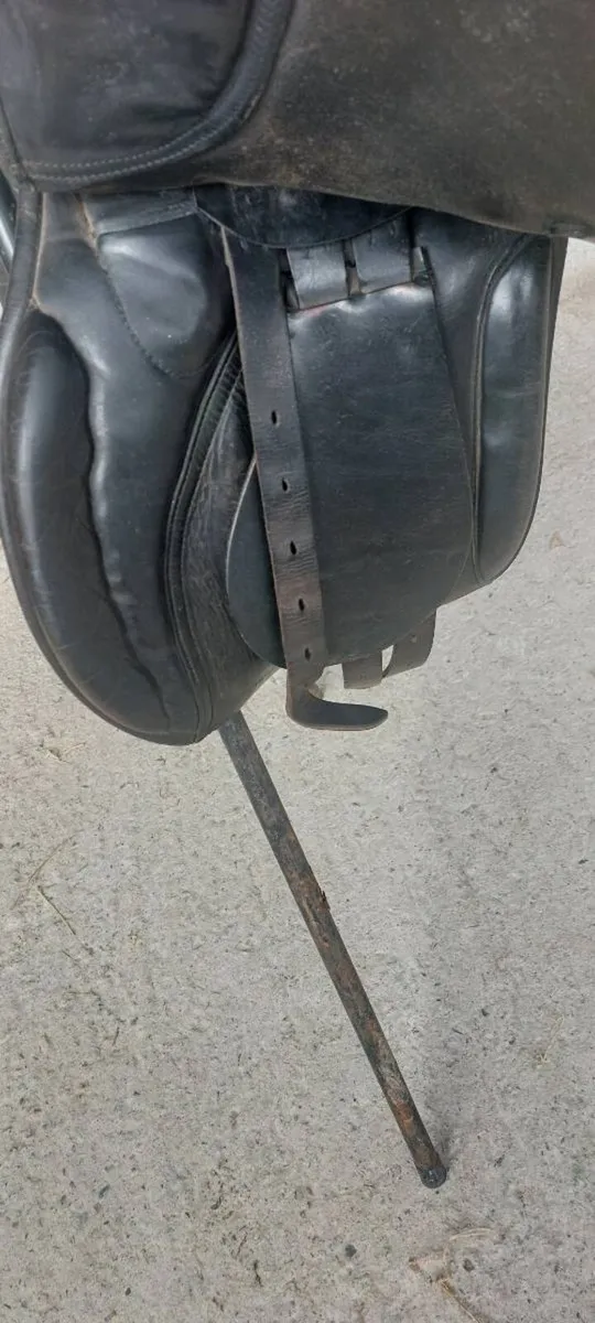 17" Saddle - Image 4