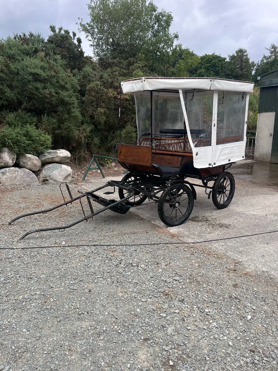 Horse carriage - Image 4
