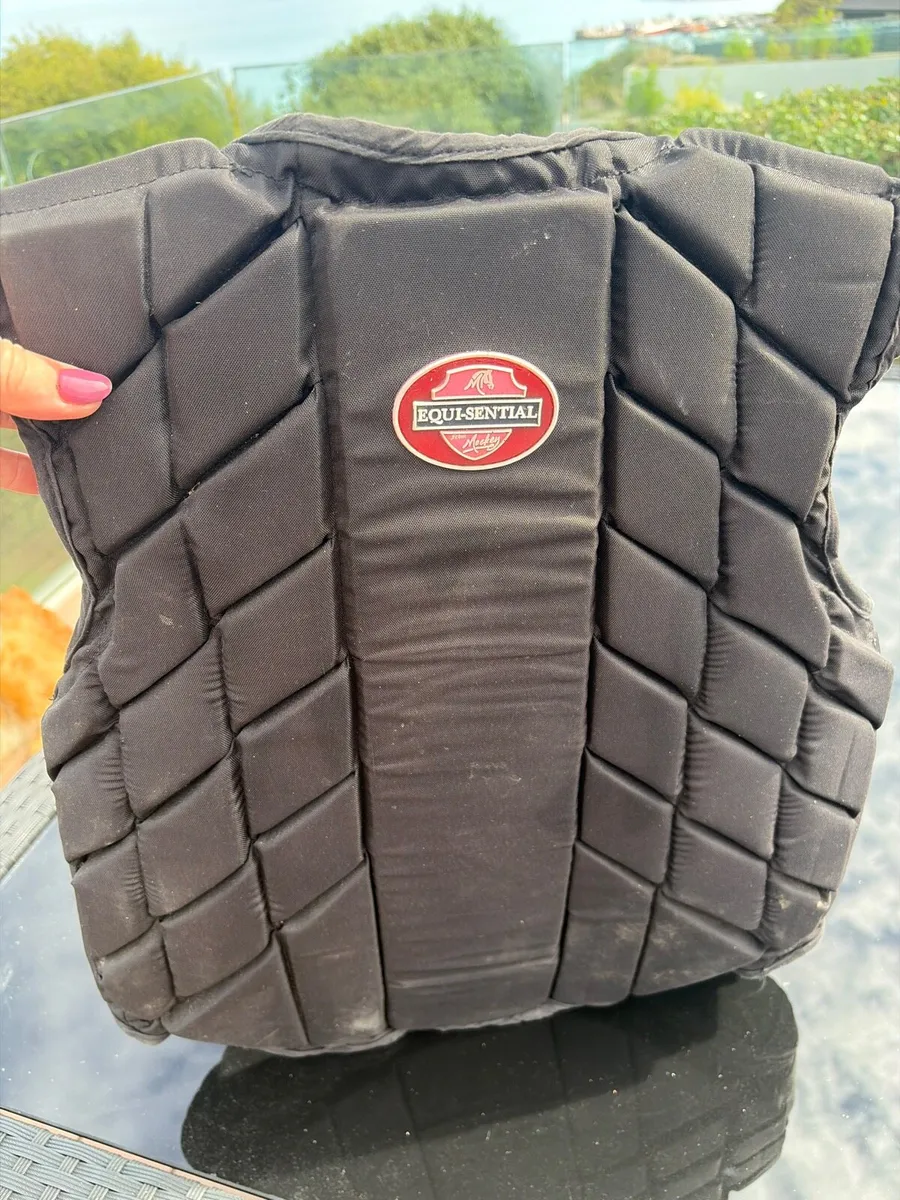 Equestrian Riding Helmet & Back Protector - Image 2