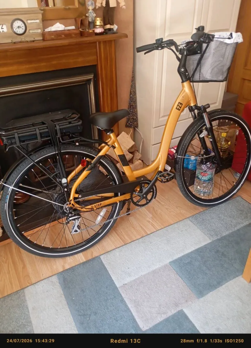 Electric bike - Image 1