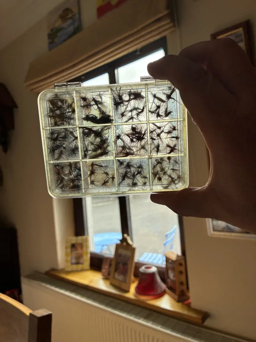 Fishing flys - Image 3