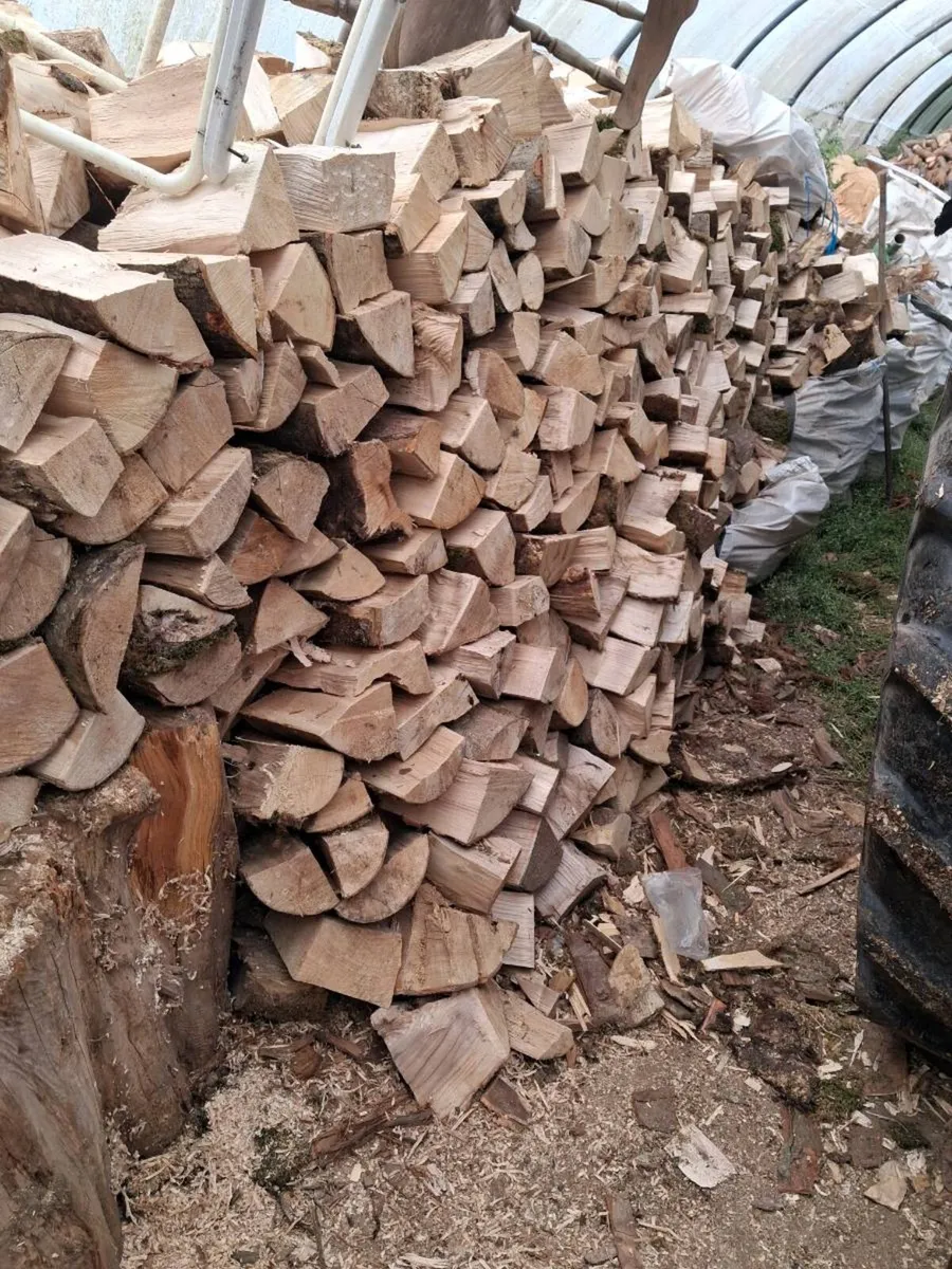 Firewood - Image 1
