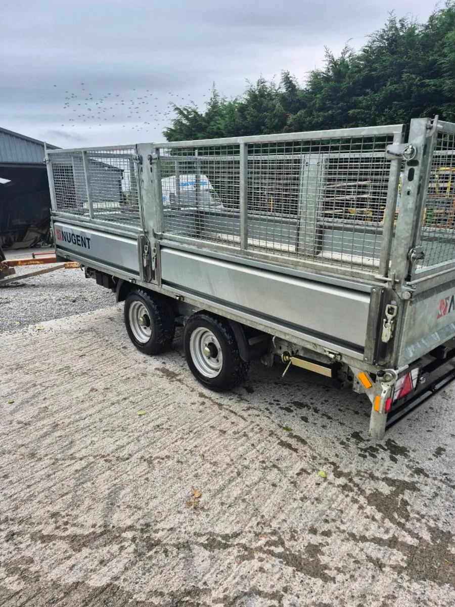 Nugent 12 x6 tipper with mesh sides - Image 2
