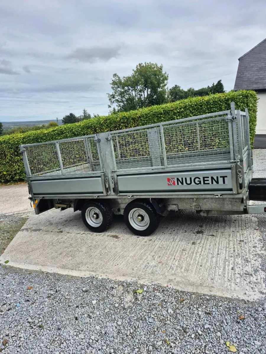 Nugent 12 x6 tipper with mesh sides - Image 4