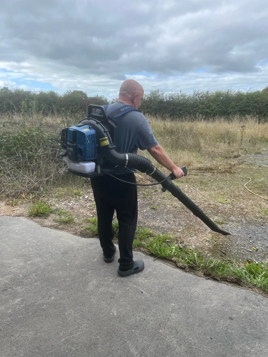 Hyundai backpack blower - Image 3