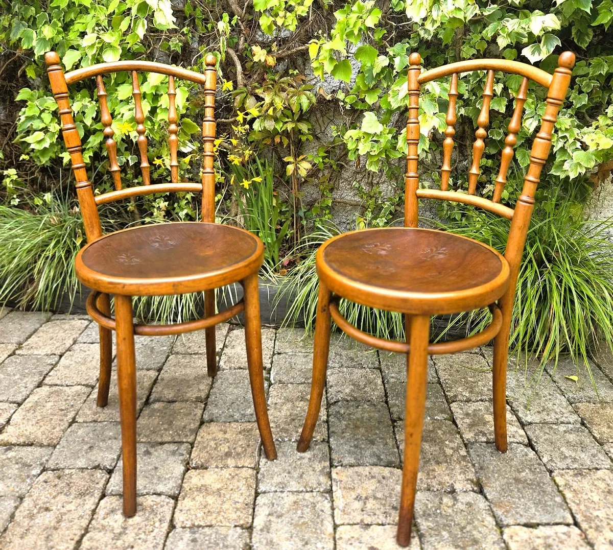 Pair of Antique Bentwood Chairs- Circa 1920 - Image 2
