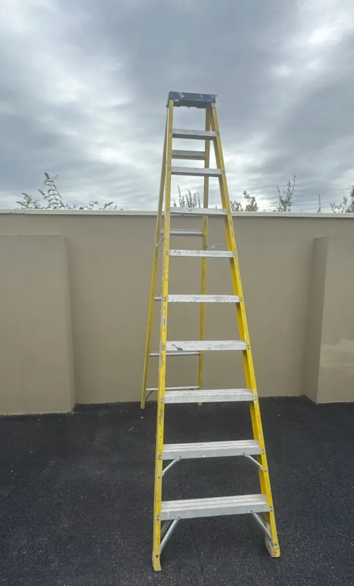 10 step Fibreglass Youngman ladder - Image 1