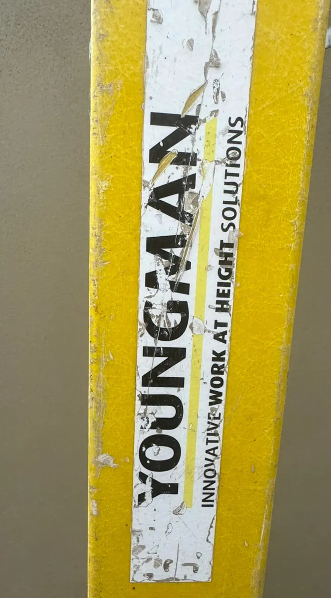 10 step Fibreglass Youngman ladder - Image 2