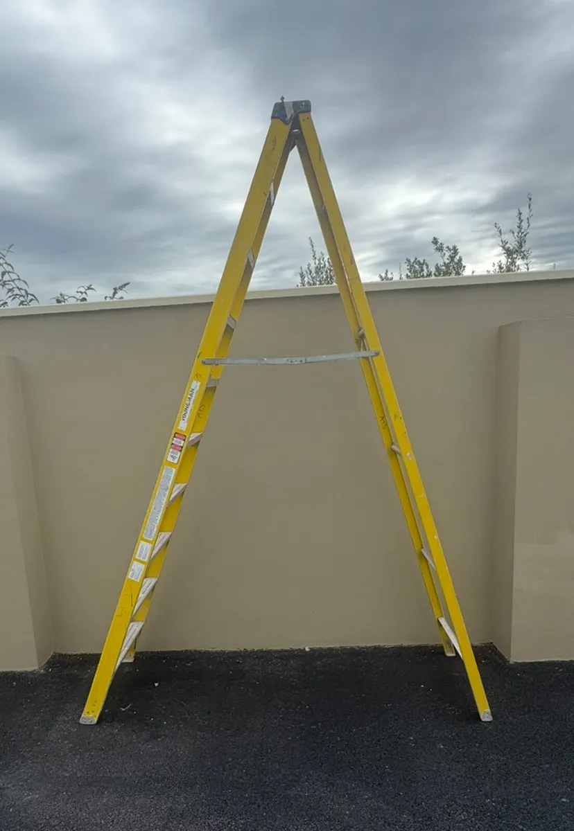 10 step Fibreglass Youngman ladder - Image 3
