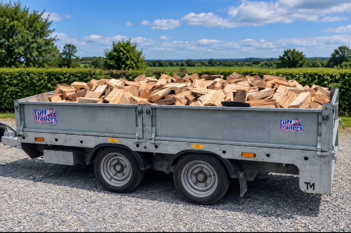 Firewood Ash timber - Image 1