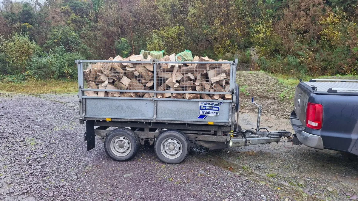 Firewood - West Cork - Image 1