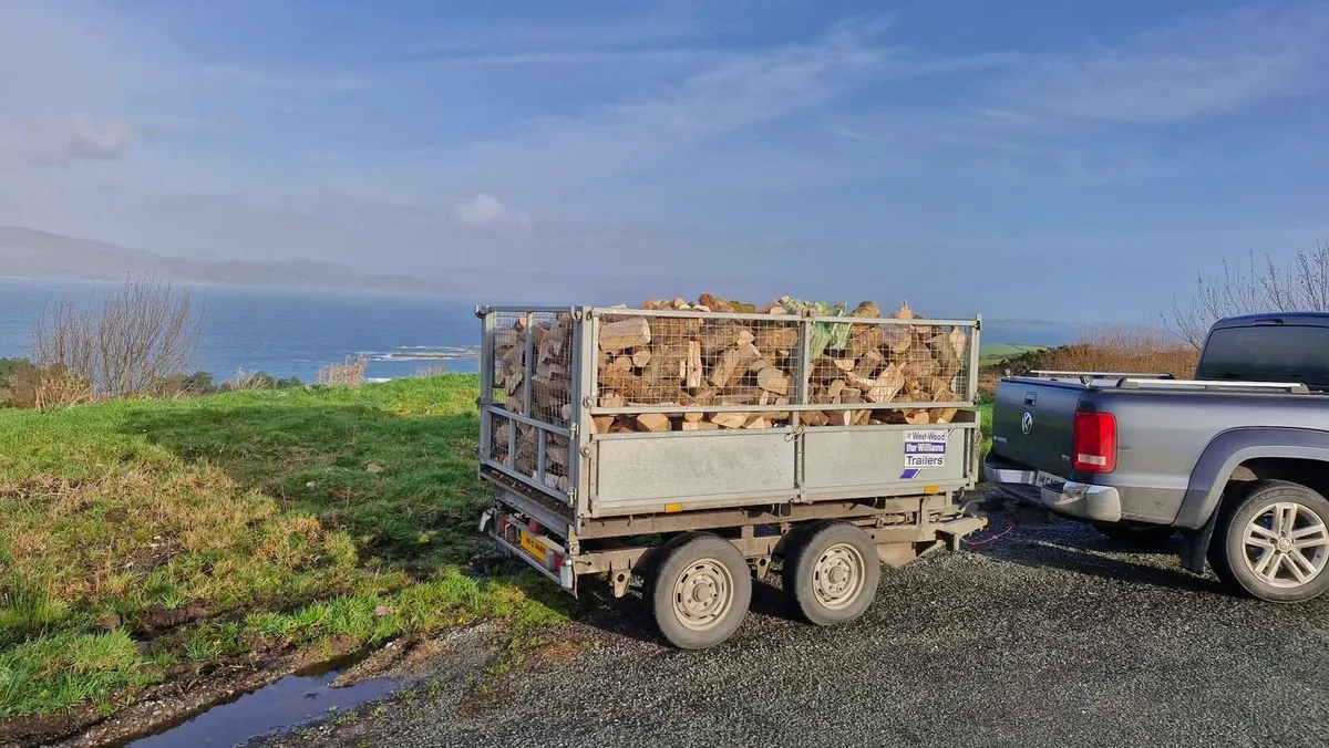 Firewood - West Cork - Image 2