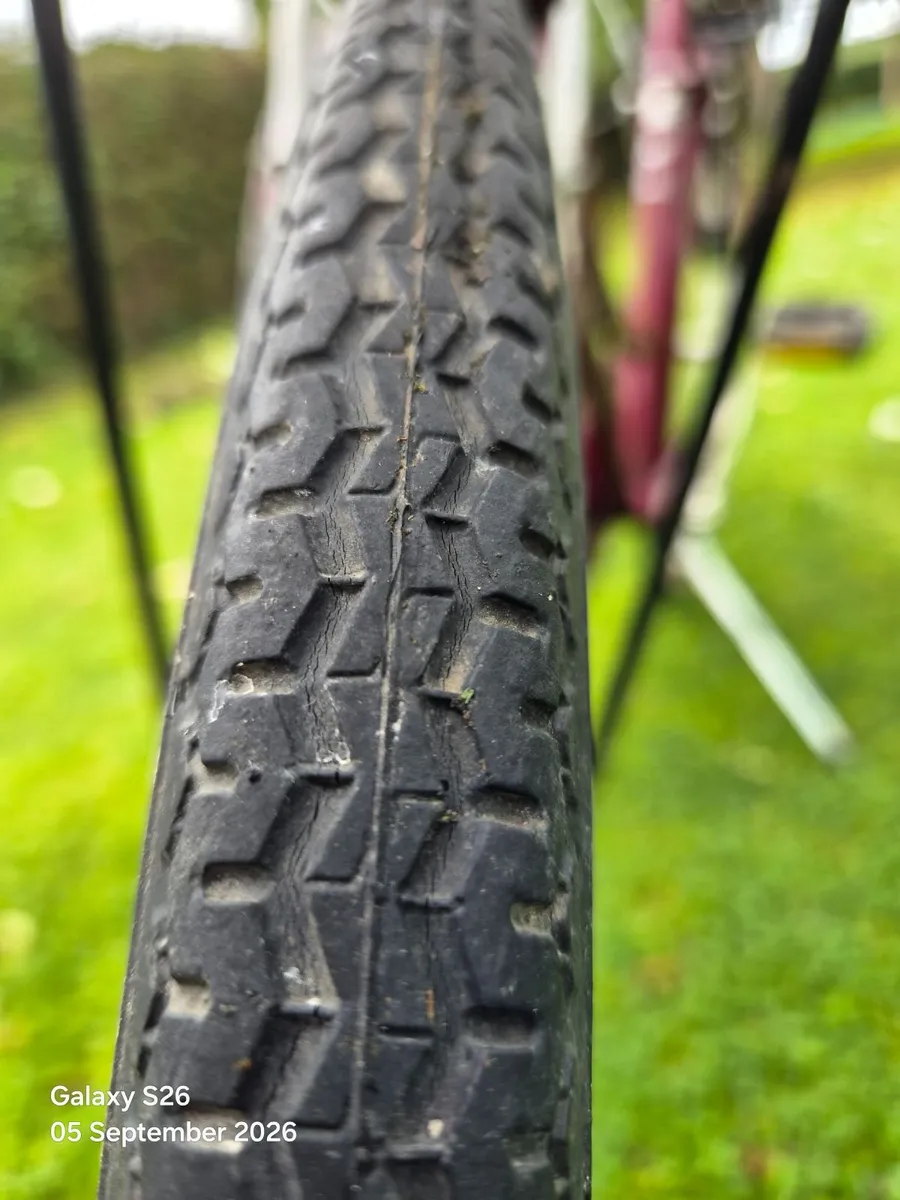 Bicycle - Image 2