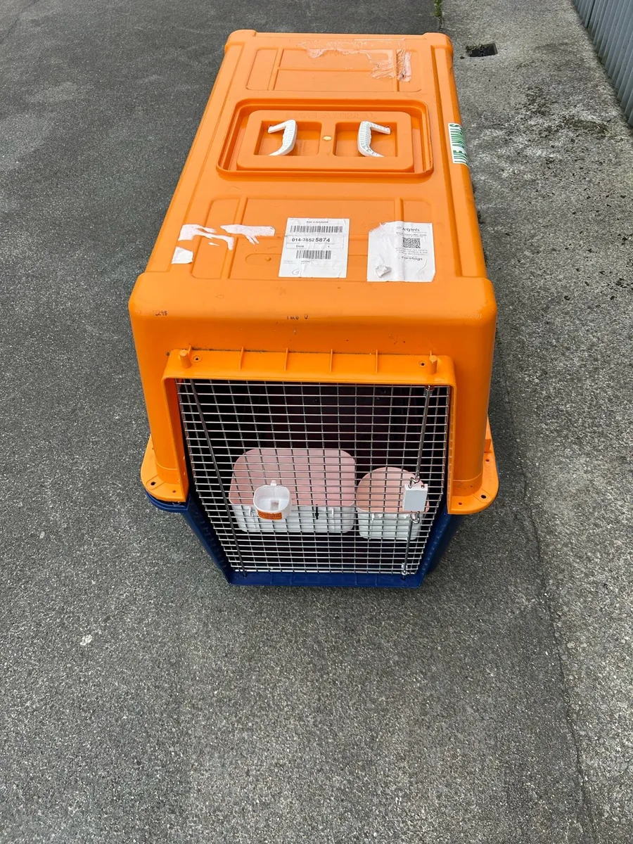 Dog crate - Image 2