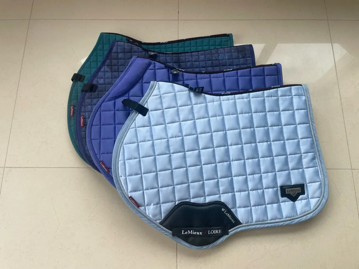 LeMieux and SandStorm Saddle Pads - Image 1