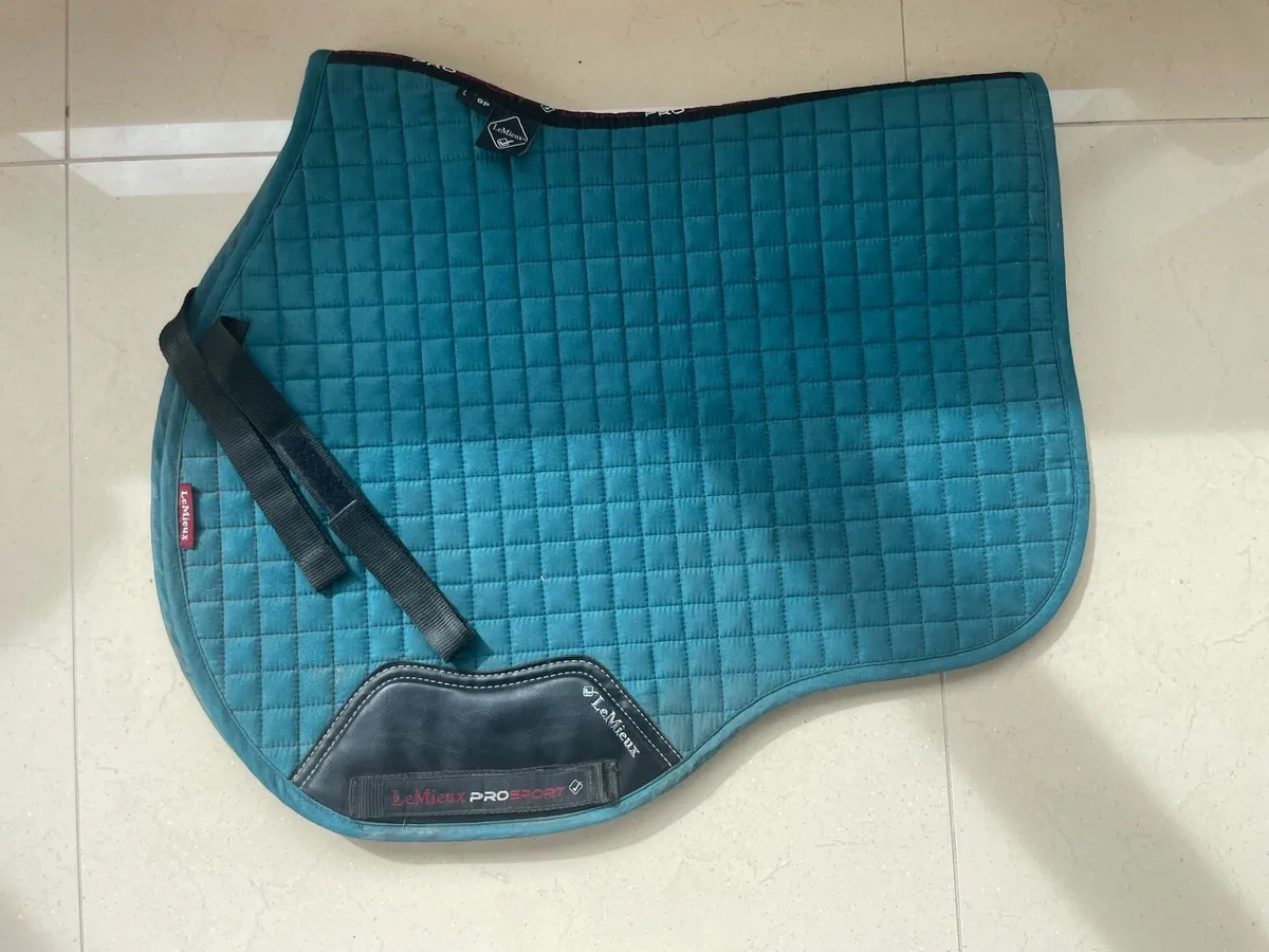 LeMieux and SandStorm Saddle Pads - Image 3
