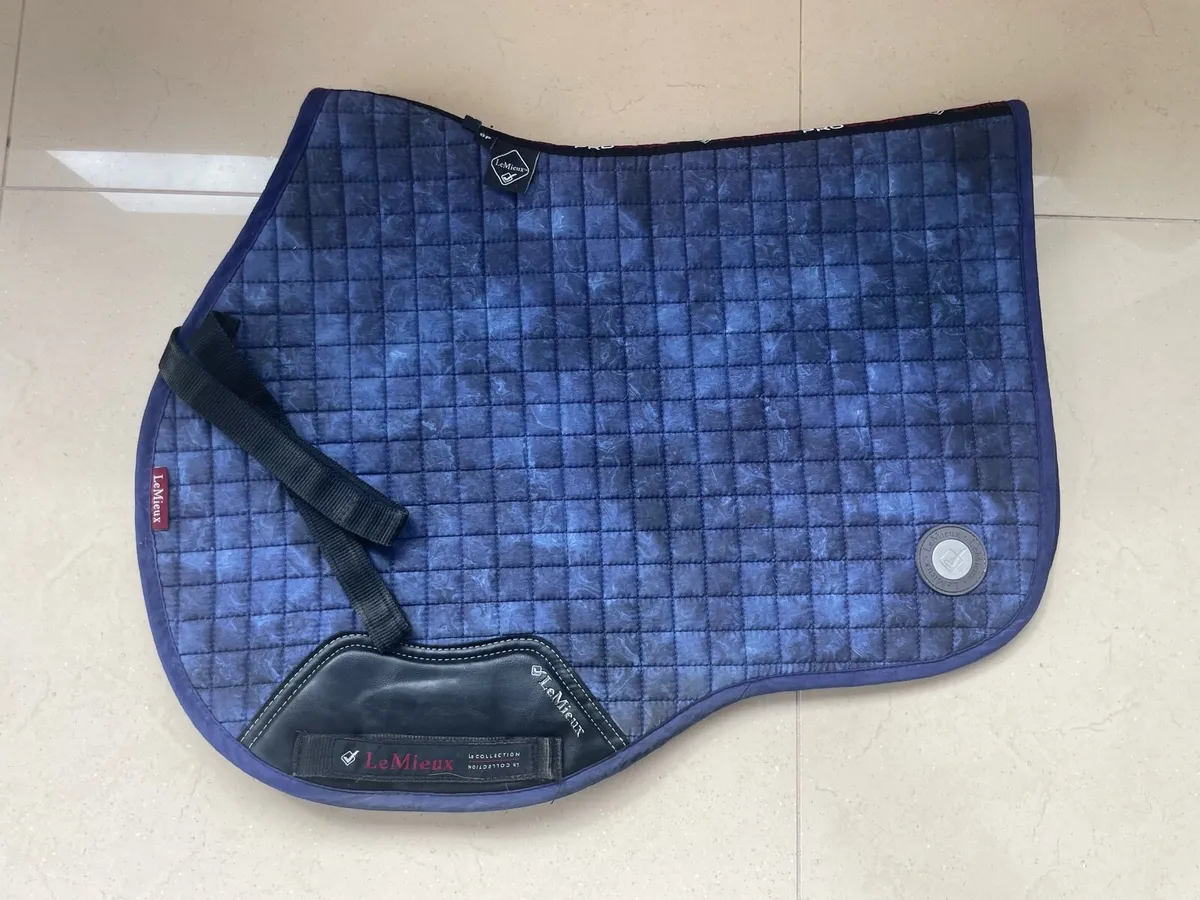 LeMieux and SandStorm Saddle Pads - Image 4