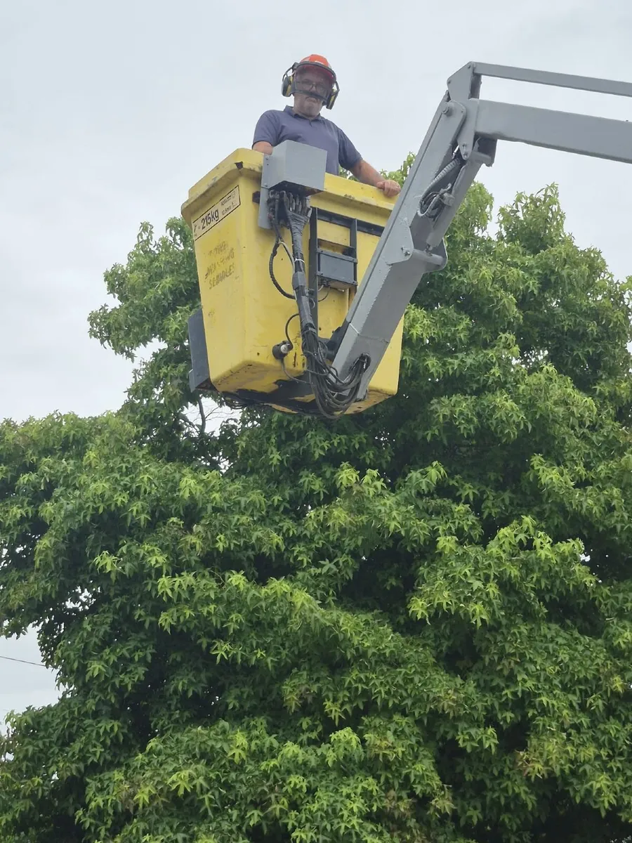 Cherry picker - Image 1