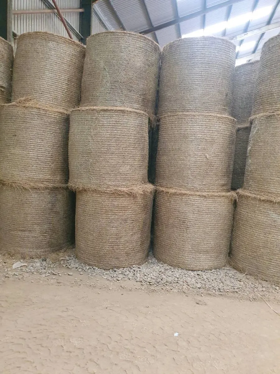 Top Quality Hay