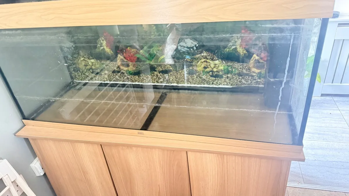 🐠 Large Juwel Fish Tank + Cabinet & Aquarium Orna - Image 1