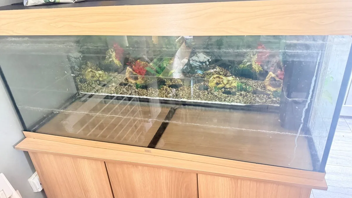 🐠 Large Juwel Fish Tank + Cabinet & Aquarium Orna - Image 2