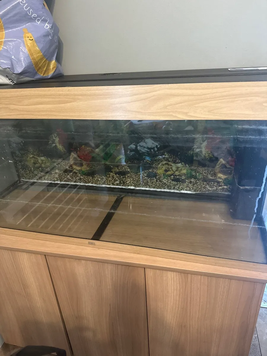 🐠 Large Juwel Fish Tank + Cabinet & Aquarium Orna - Image 3