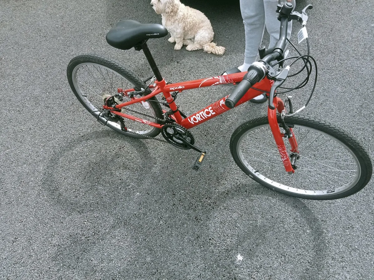 Bike - Image 1