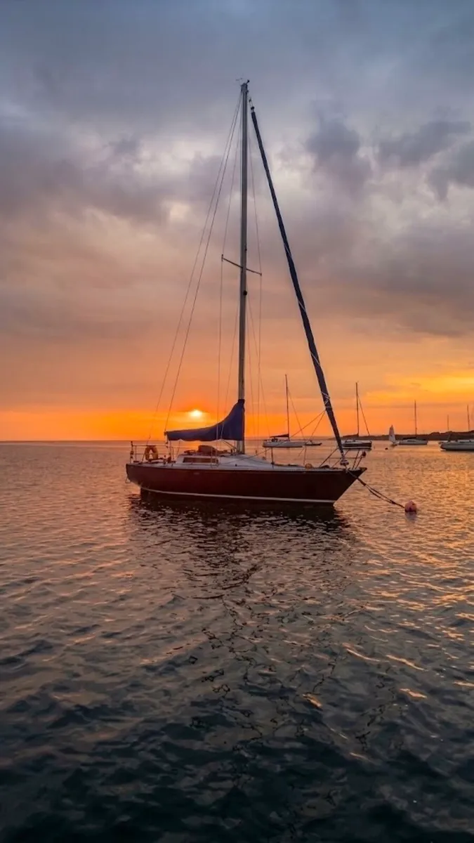 Golden Shamrock 30ft Sailing Yacht - Image 1