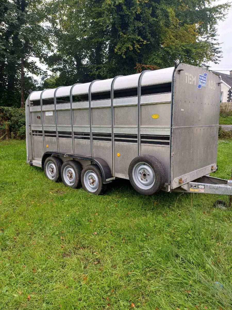 Ifor williams 14ft,  3 axle , £3150  plus vat - Image 1