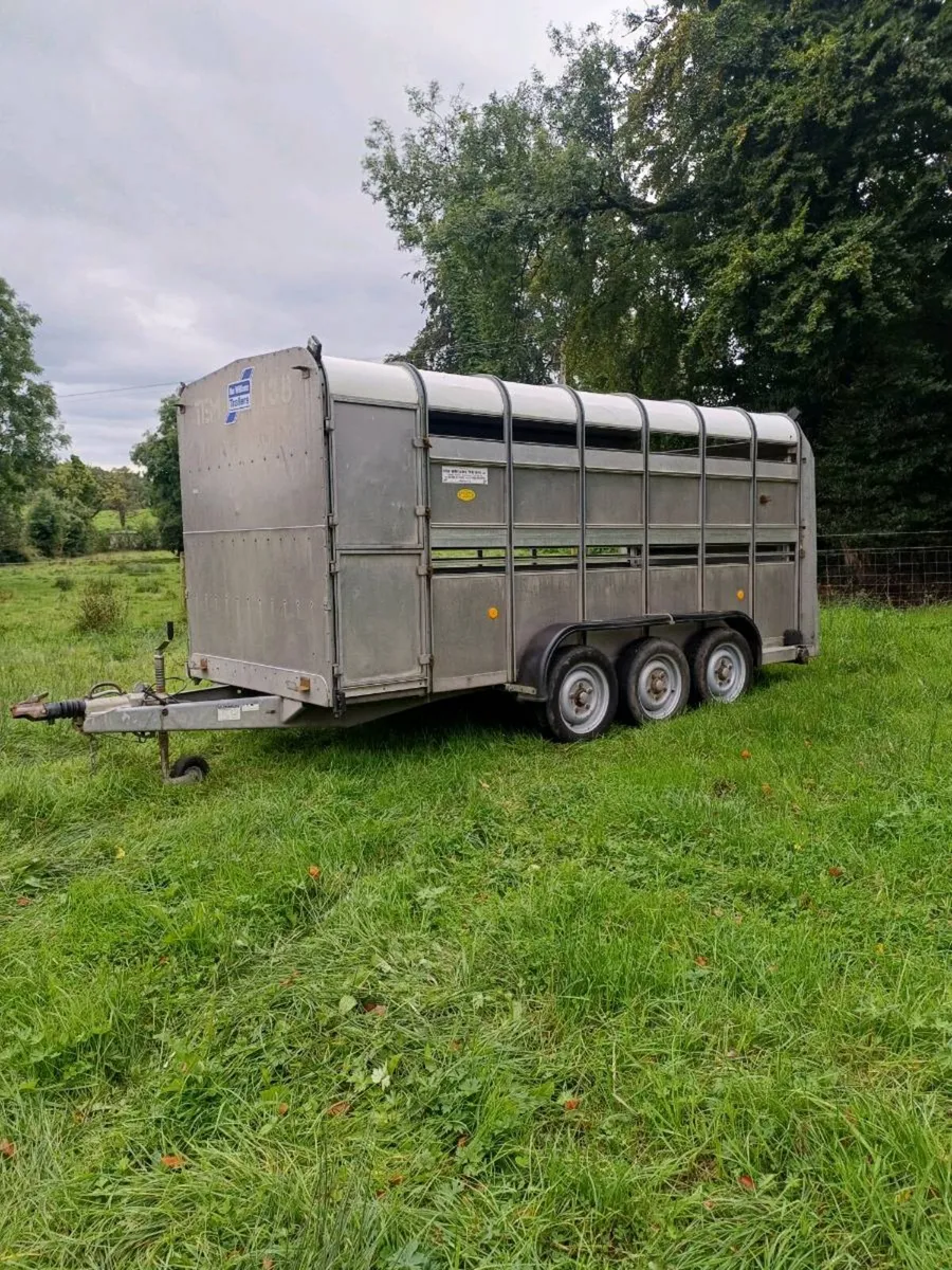 Ifor williams 14ft,  3 axle , £3150  plus vat - Image 2