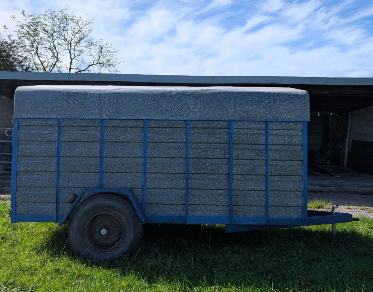 Trailor - Image 3