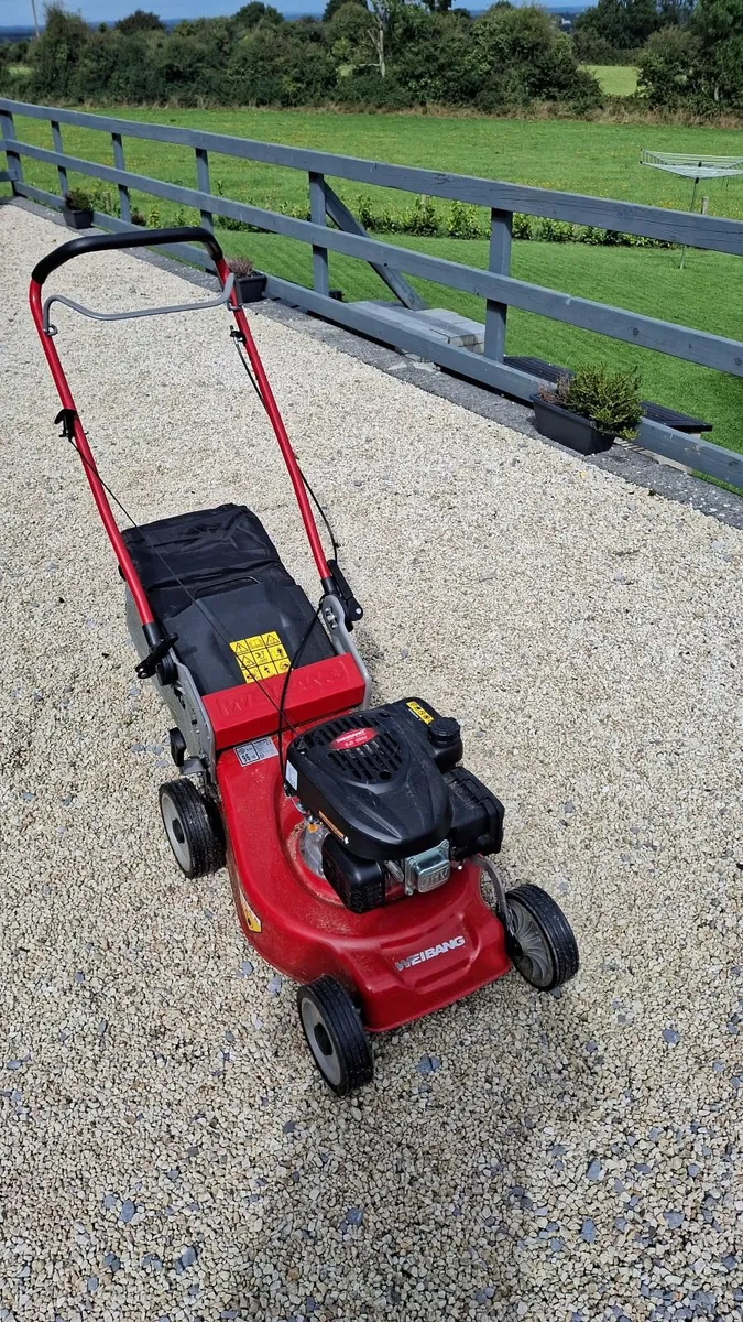 Weibang Lawnmower - Image 2