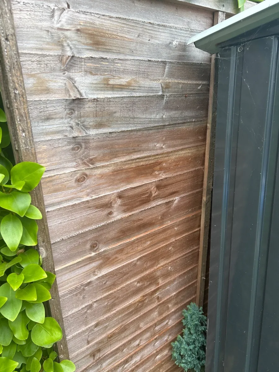 Garden trellis