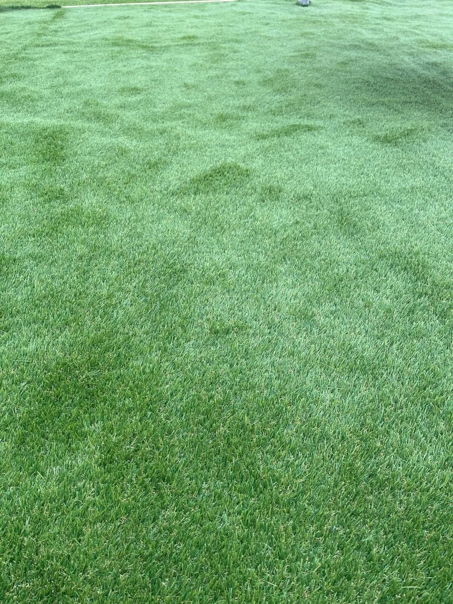 Artificial grass