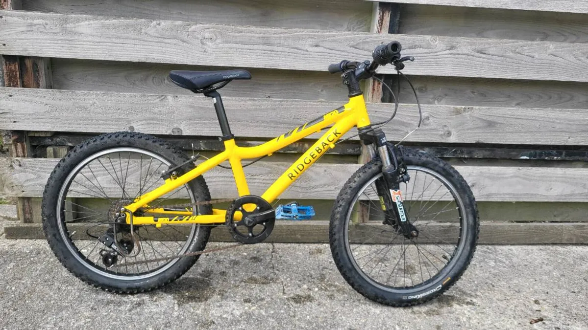 Kids 20" MTB Bike - Image 1