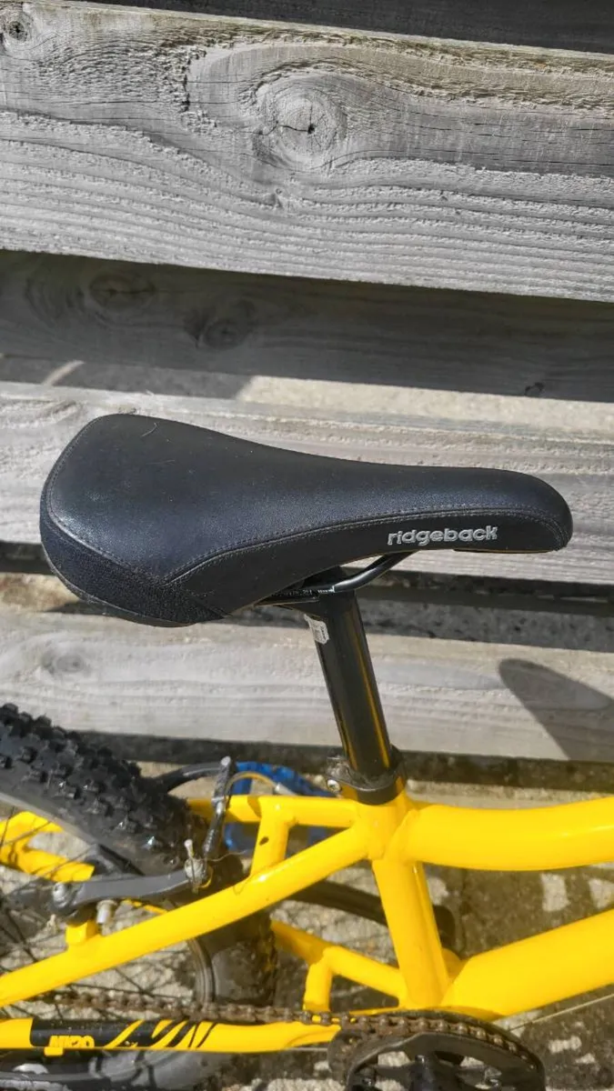 Kids 20" MTB Bike - Image 2