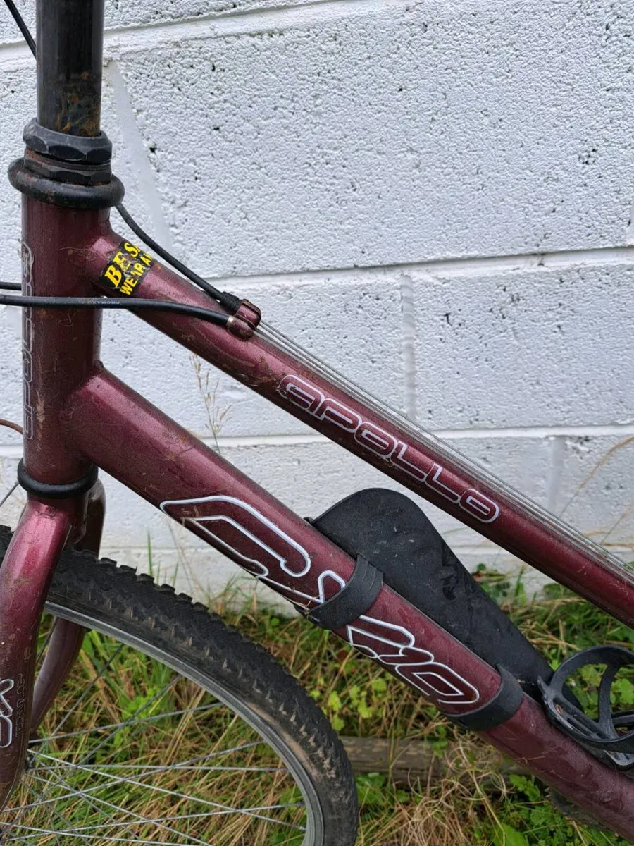 Adult bicycle - Image 2