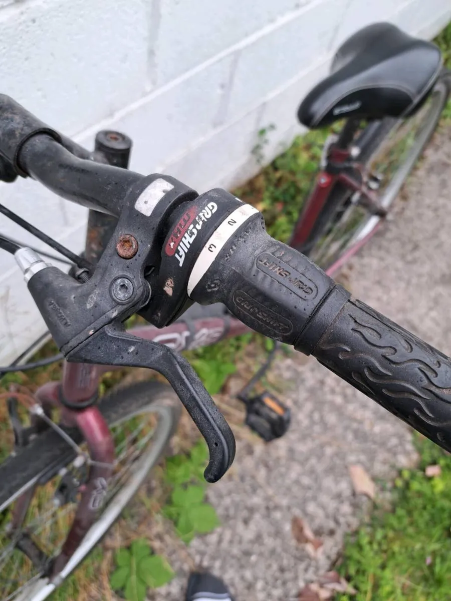 Adult bicycle - Image 3