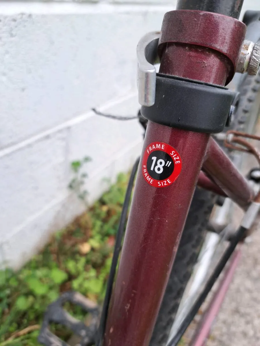 Adult bicycle - Image 4