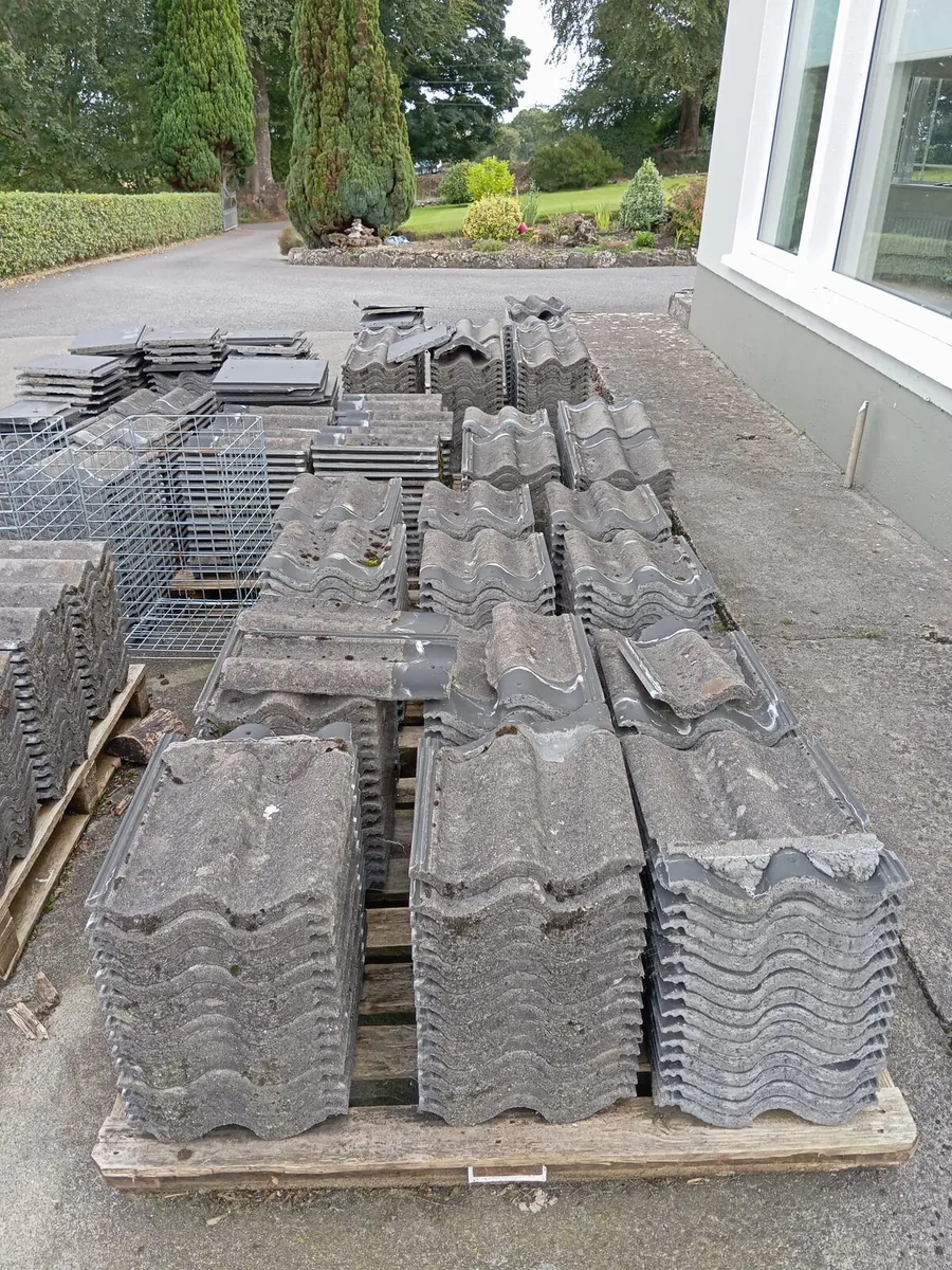 Double Roman concrete roof tiles