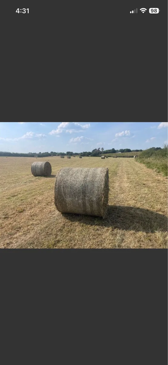 Round hay bales