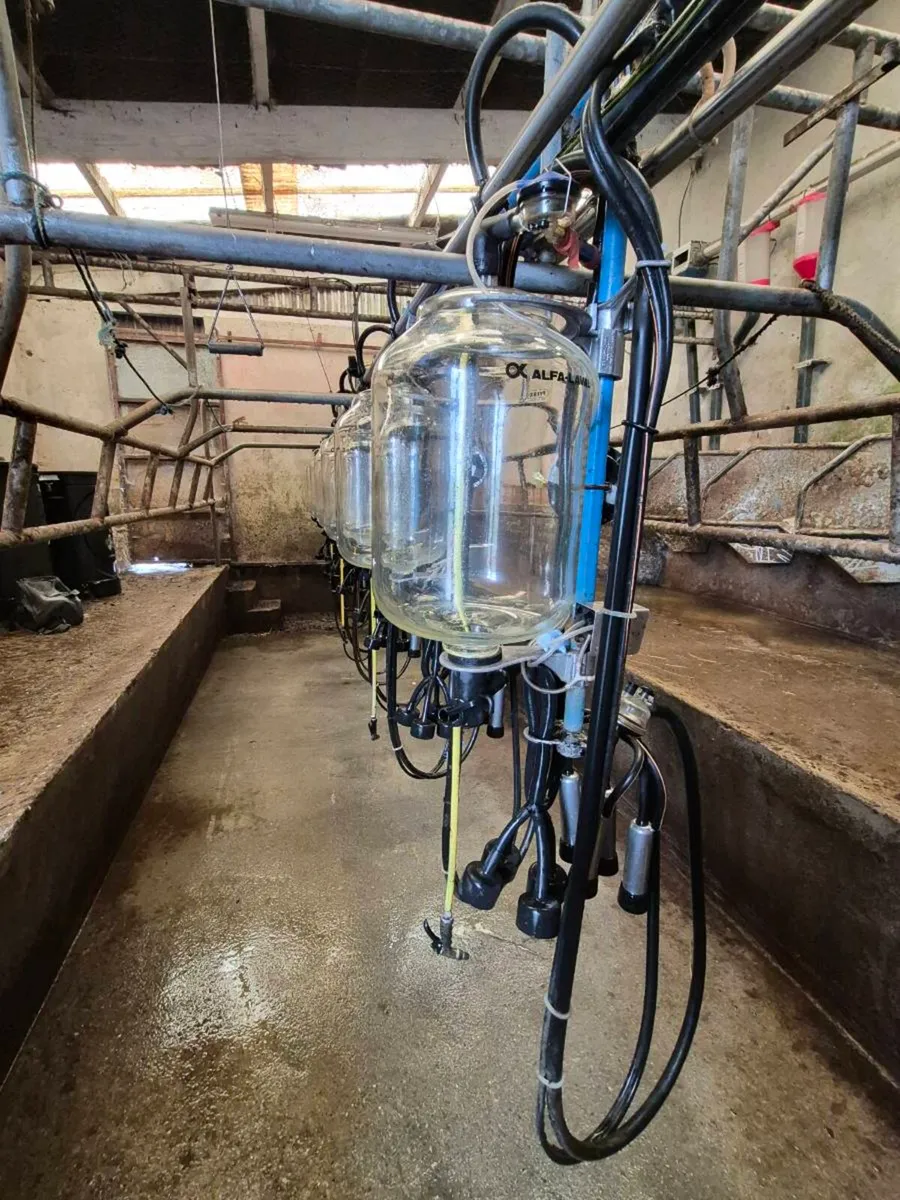 8 Unit DeLaval Milking Parlour – Complete - Image 3