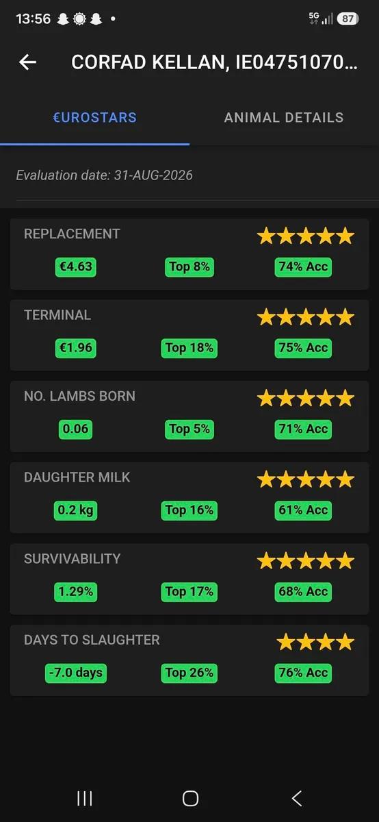 Pb Blue texel ram sis approved 5  🌟 - Image 1
