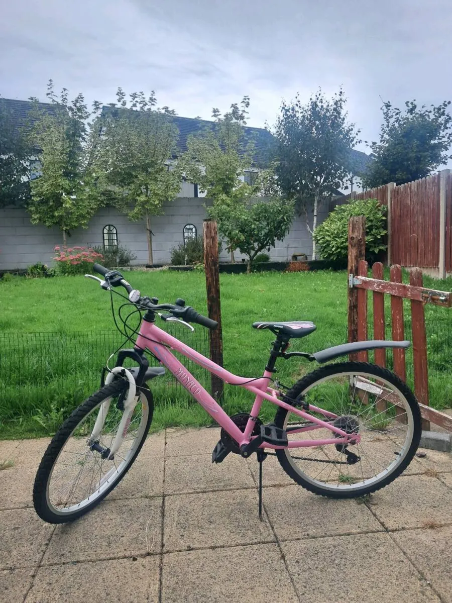 24 inch 18 speed Monaco Girl's bicycle - pink - Image 1