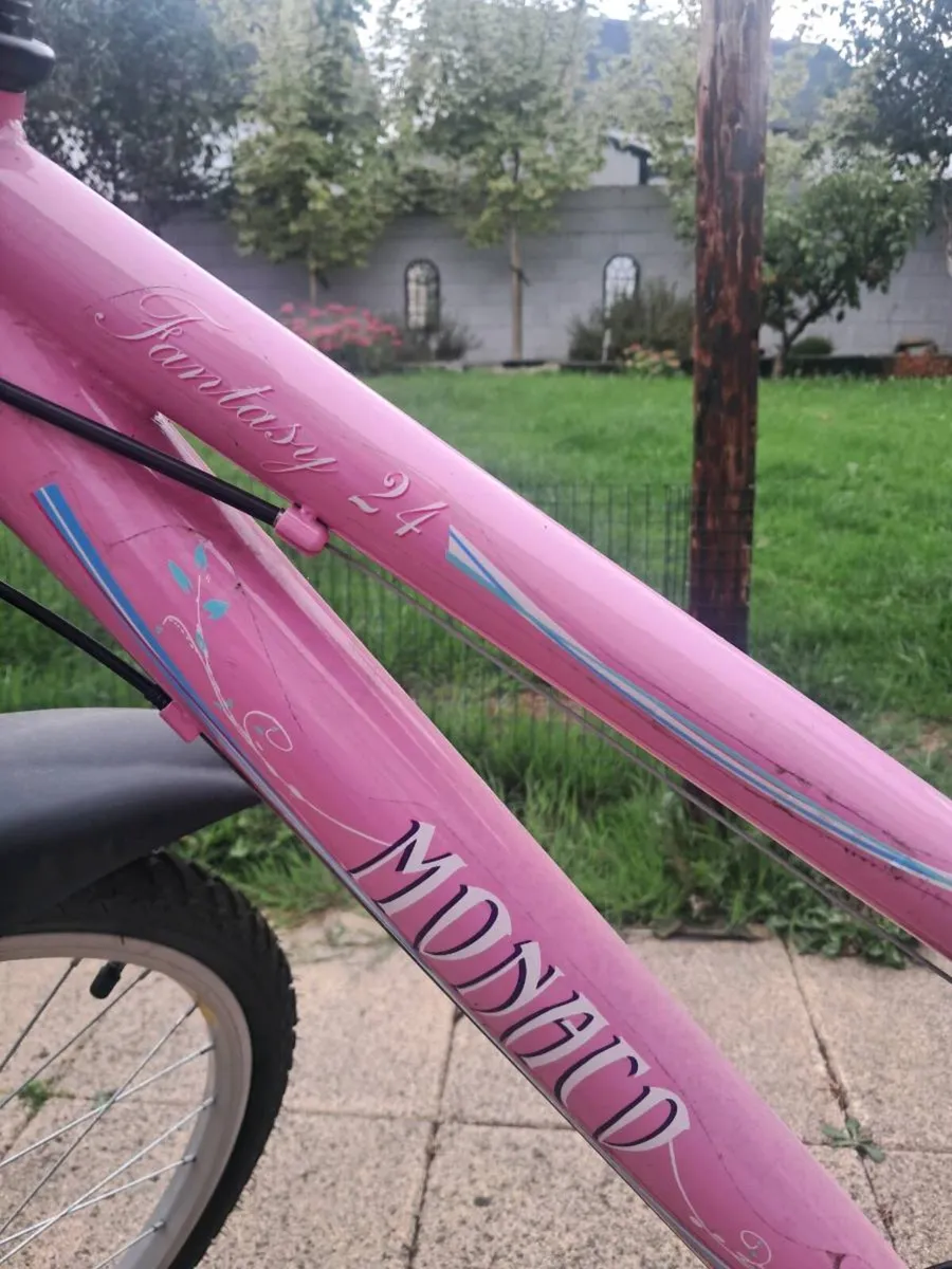 24 inch 18 speed Monaco Girl's bicycle - pink - Image 2