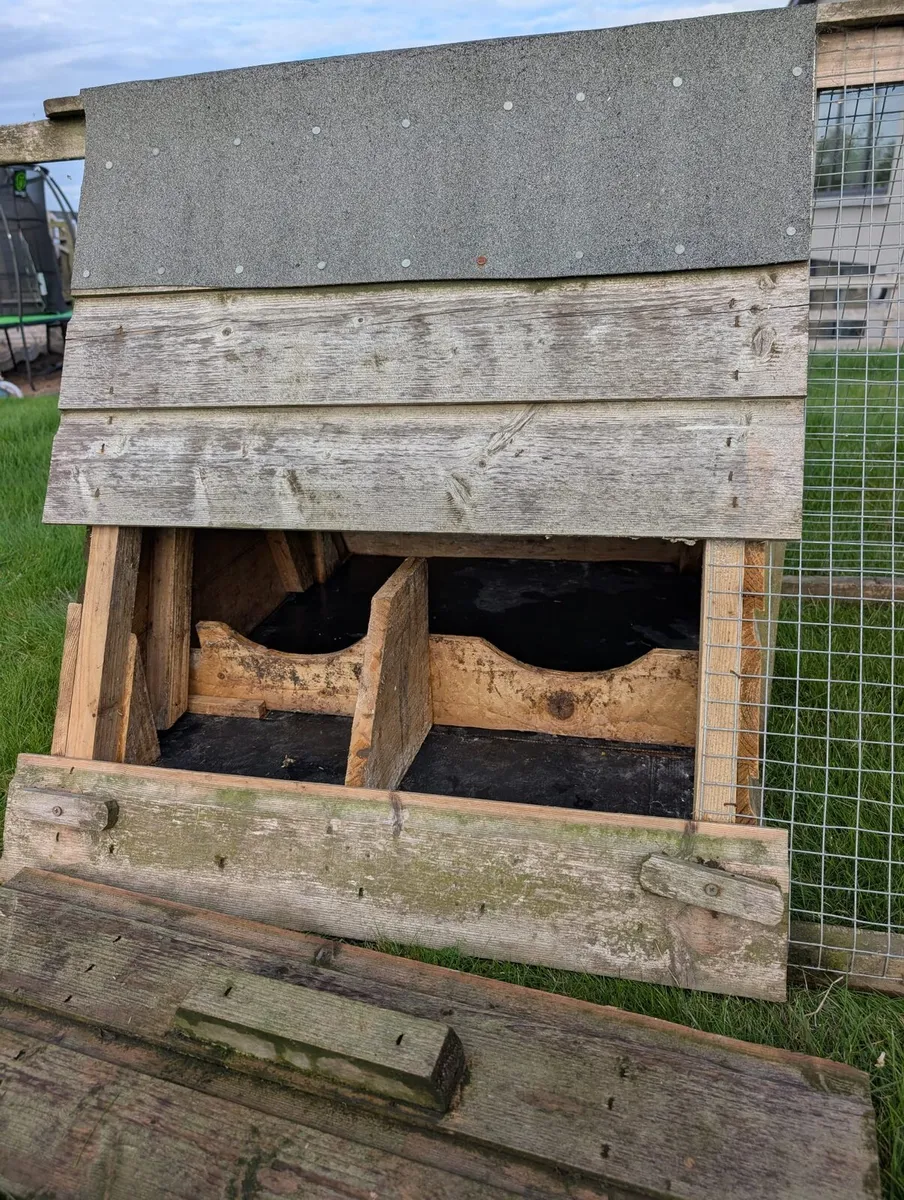 Chicken coop rabbit hutch - Image 3