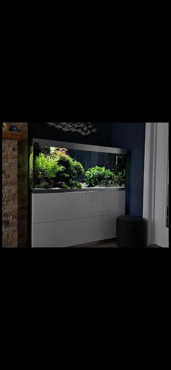 Fish tank - Image 1