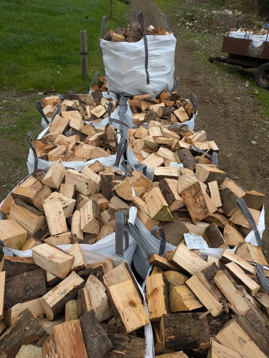Hardwood ans Softwood Firewood - Image 2