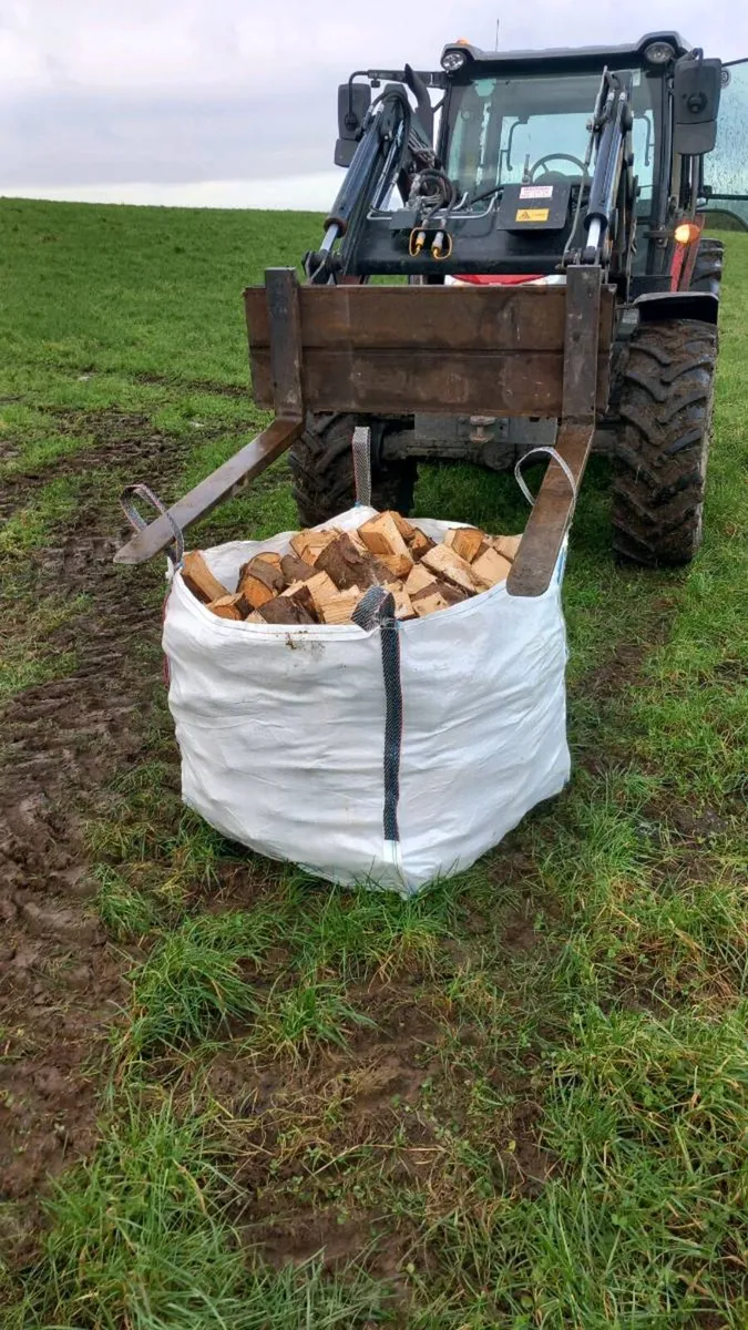 Hardwood ans Softwood Firewood - Image 3